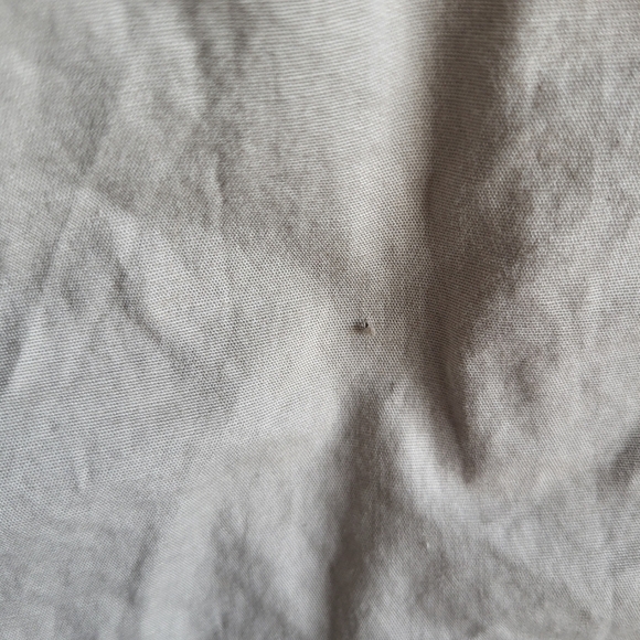 NWT $50 98% Cotton Torrid Poplin Yacht Shorts Size 1 (US‎ 14/16) (Flaw) - Picture 7 of 8